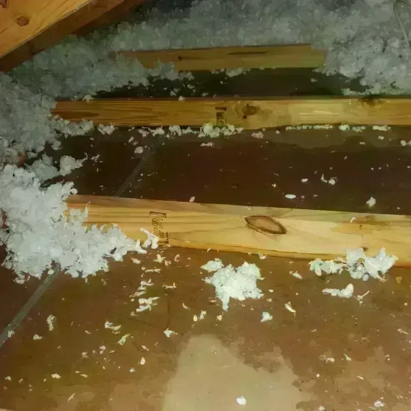 Attic Water Damage in Munday, TX